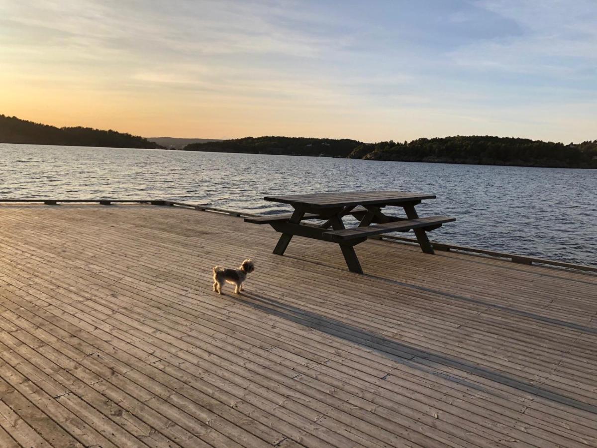 Apartament Sjonaer Idyll Kristiansand Zewnętrze zdjęcie